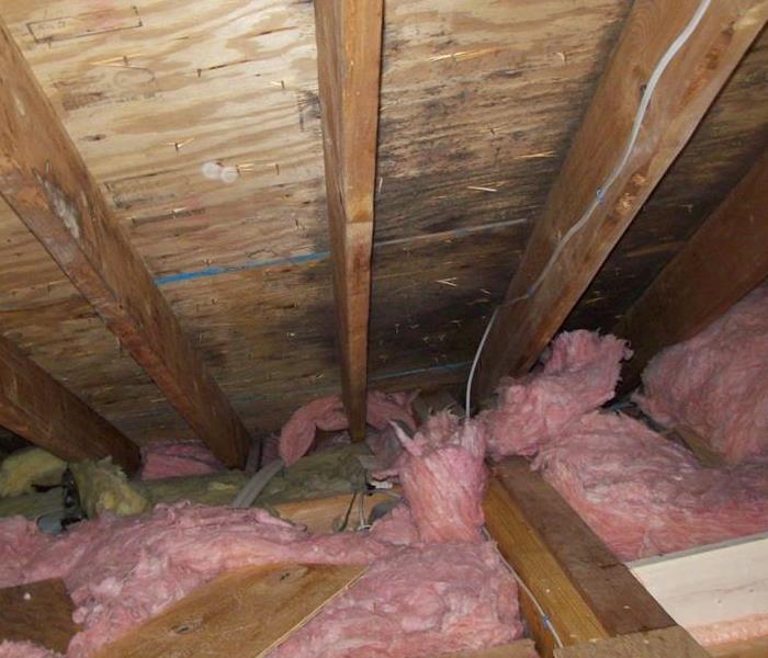 an attic with black discoloration on the wood and pink insulation