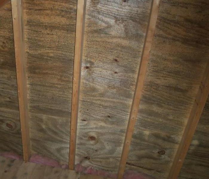 wood planks in an attic with grey discoloration