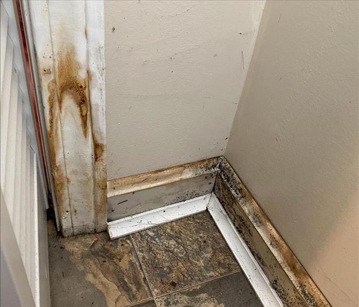Mold growth on baseboards.