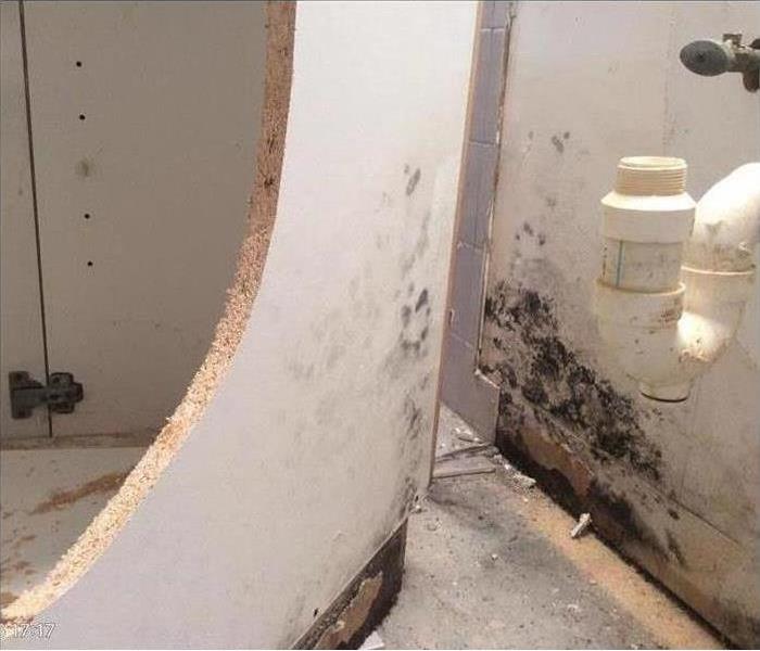 Black mold growth discovered between cabinet and wall